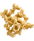 Image of Campanelle pasta