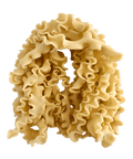 Image of Mafalde Long pasta